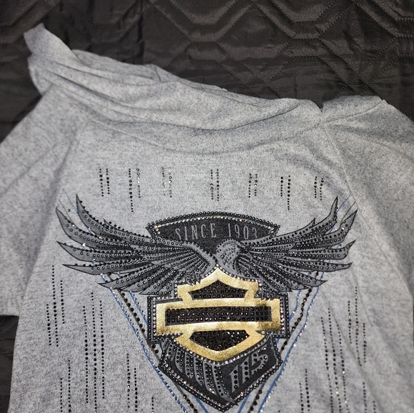 Harley-Davidson 115 Anniversary Collectors Edition Women's Hoodie Size Large - Picture 8 of 8